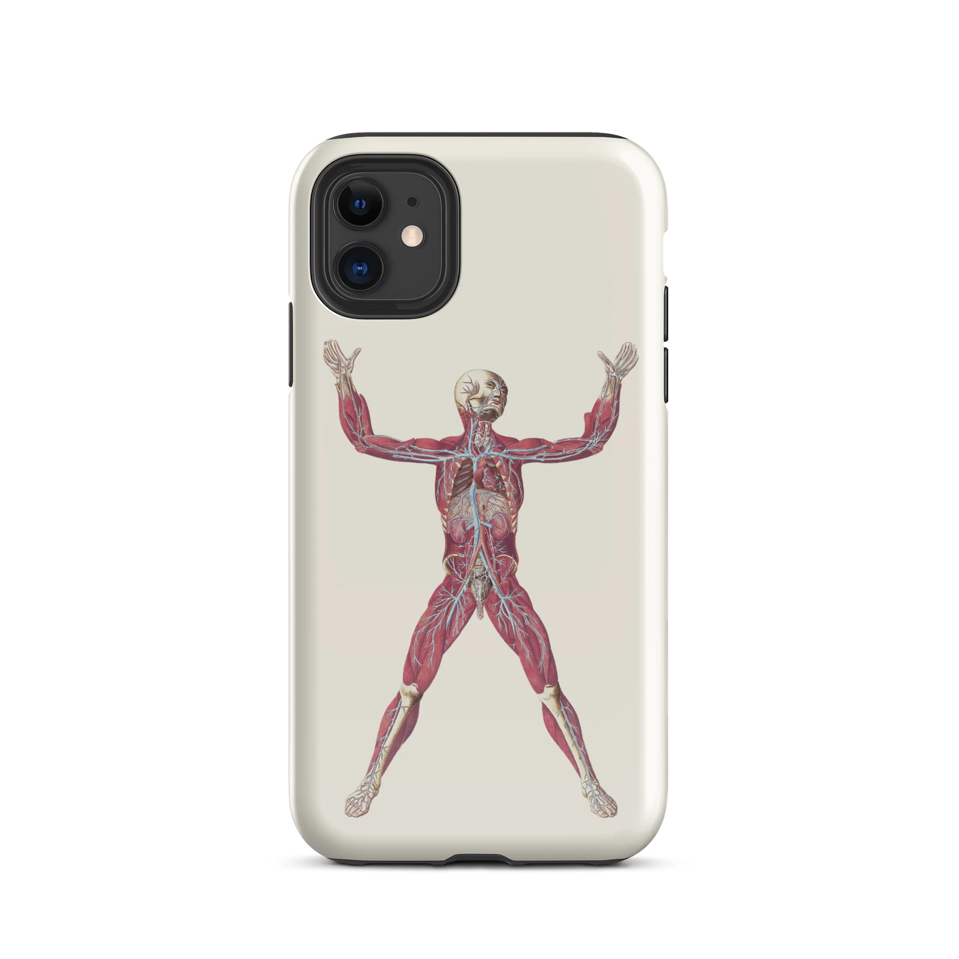 Anatomy Unveiled iPhone® Tough Case product image (55)