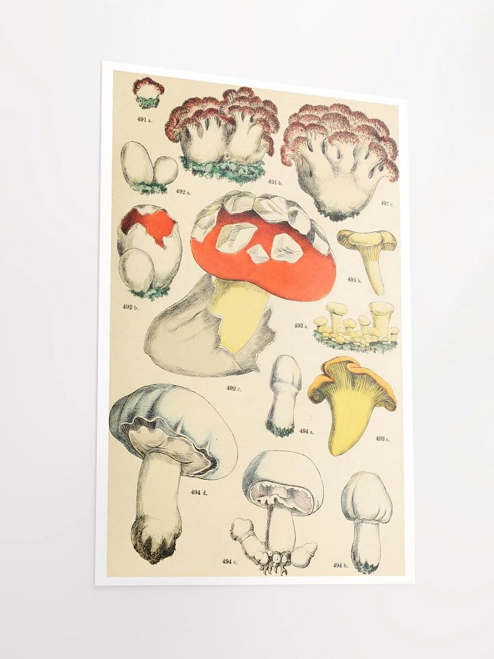 Mushroom Kingdom Illustrated Poster product image (2)