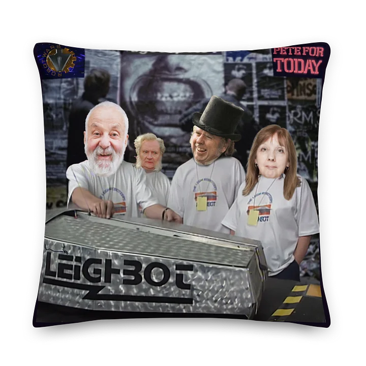 Double Feature Mike Leigh Cushion product image (2)