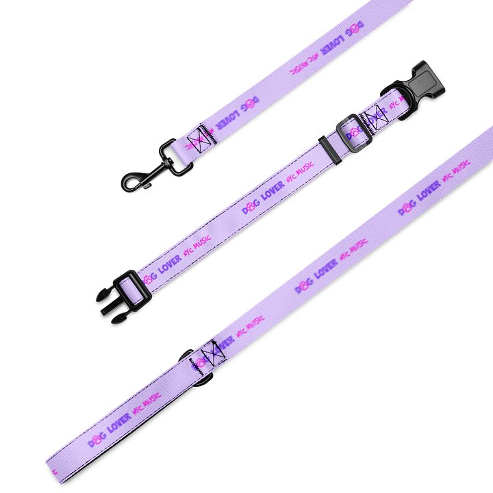 DogLoverNYCMusic Collar and Leash Set product image (2)