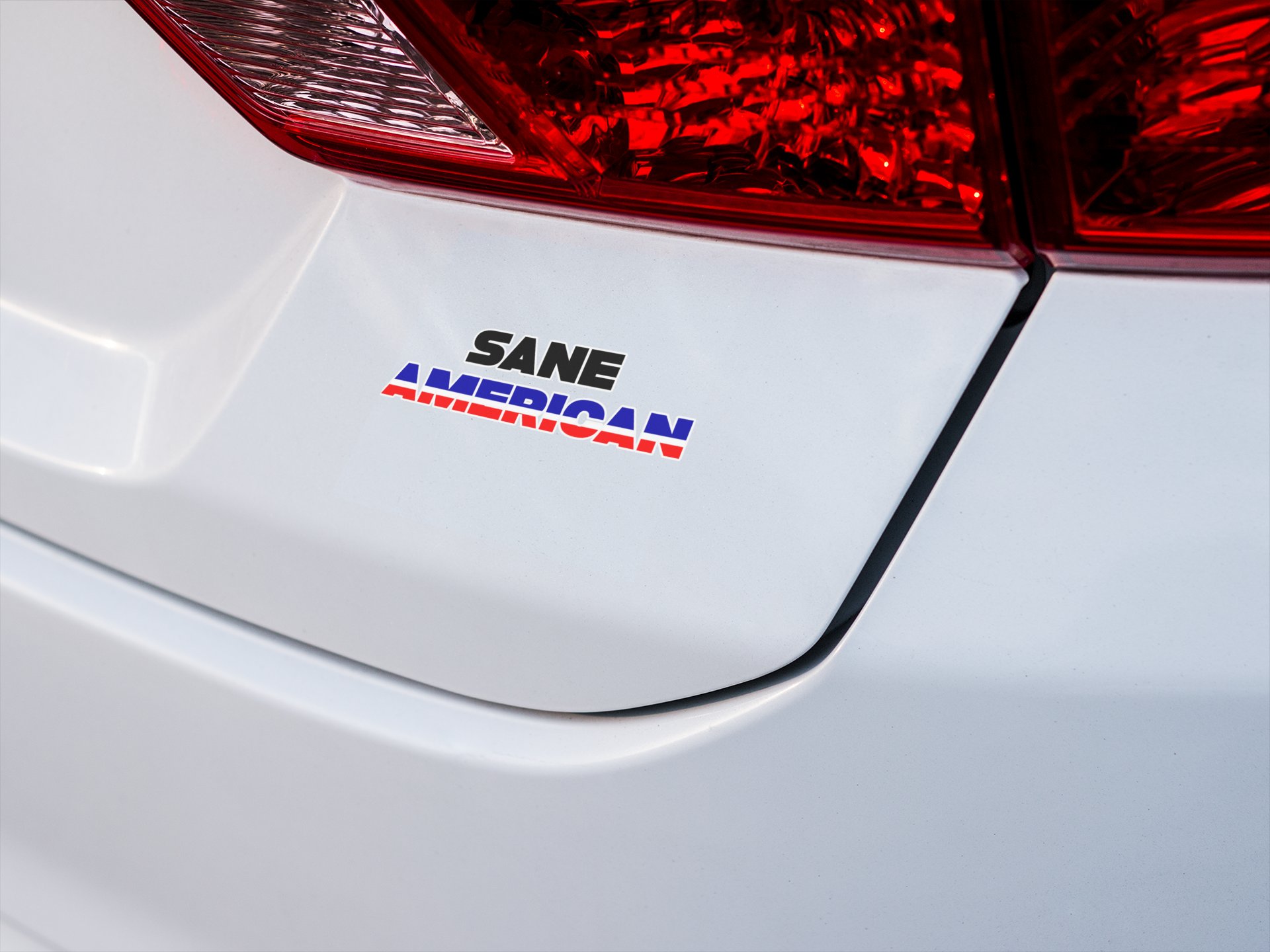 Sane American Sticker - Funny Progressive Vinyl Decal product image (2)