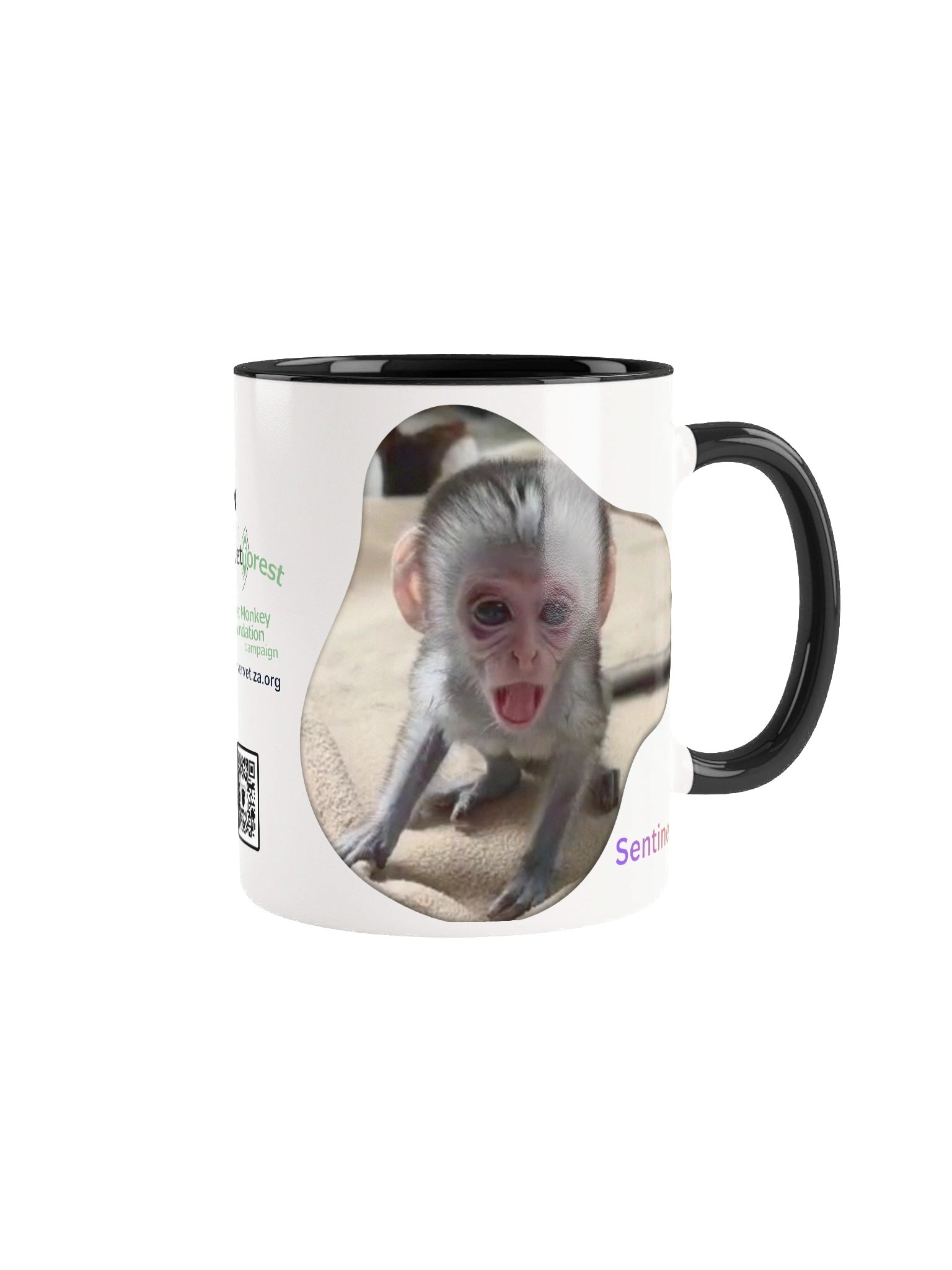 Sentinel mug product image (1)