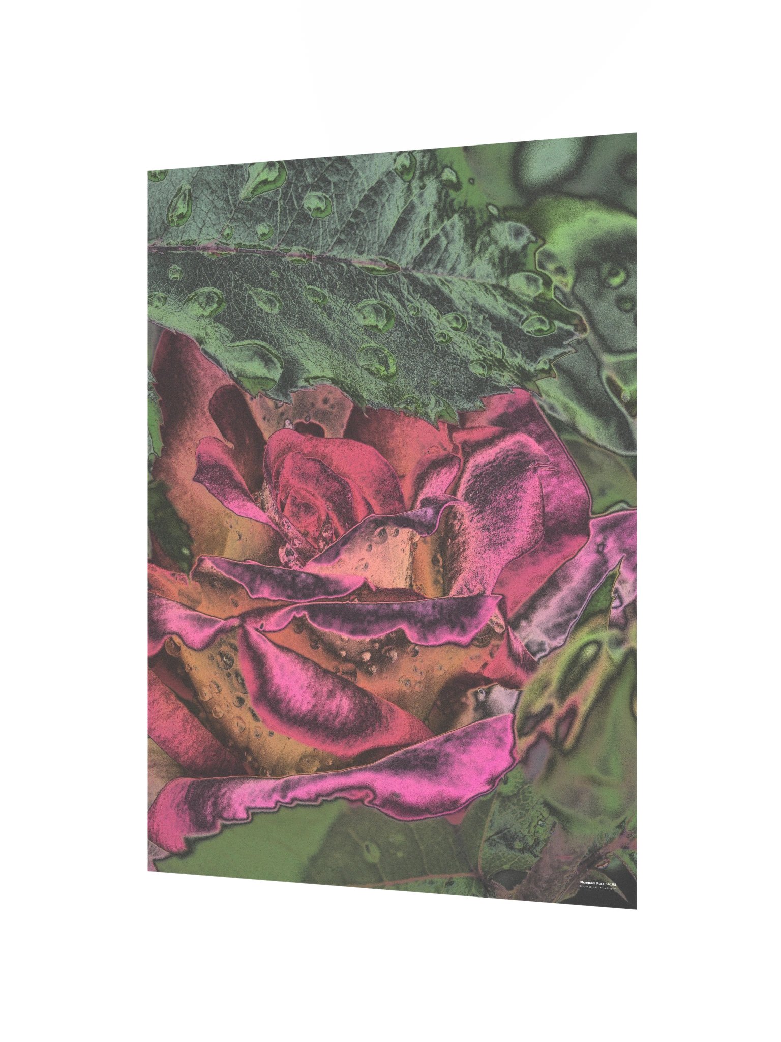 Chromed Rose 64182 Poster product image (3)