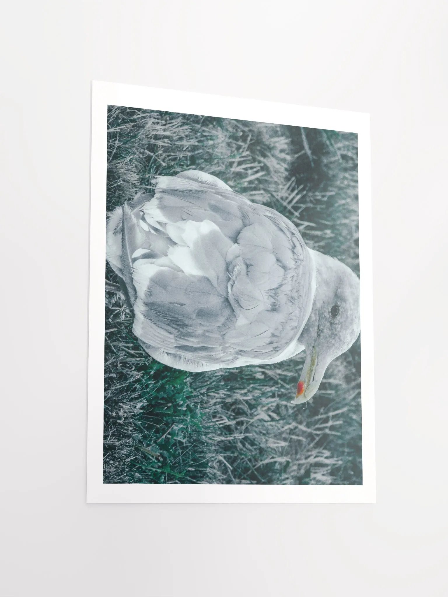 Seagull (my best buddy) product image (3)