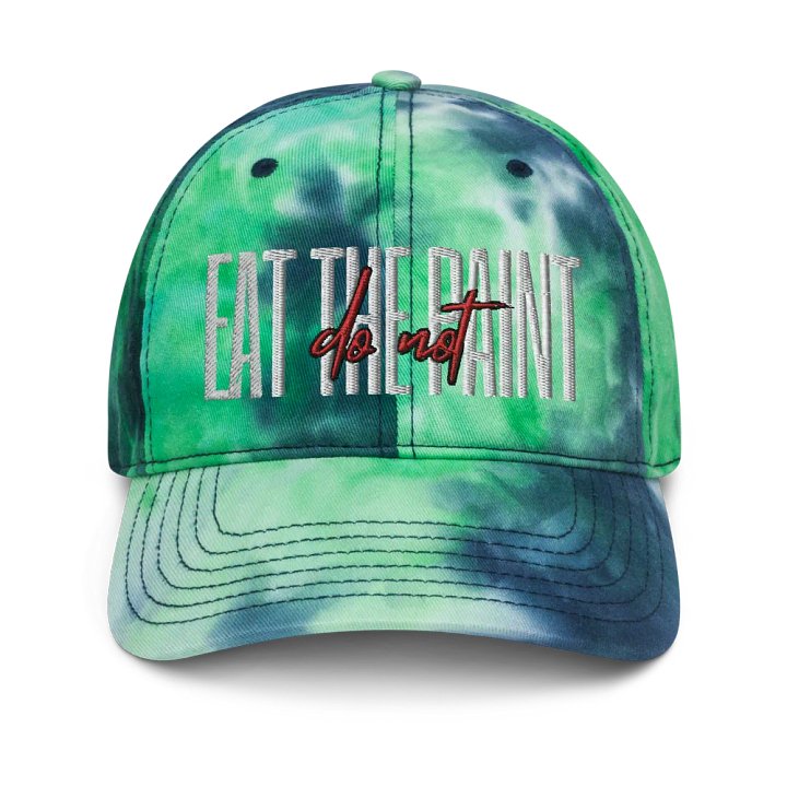 [Do Not] Eat The Paint Hat product image (1)