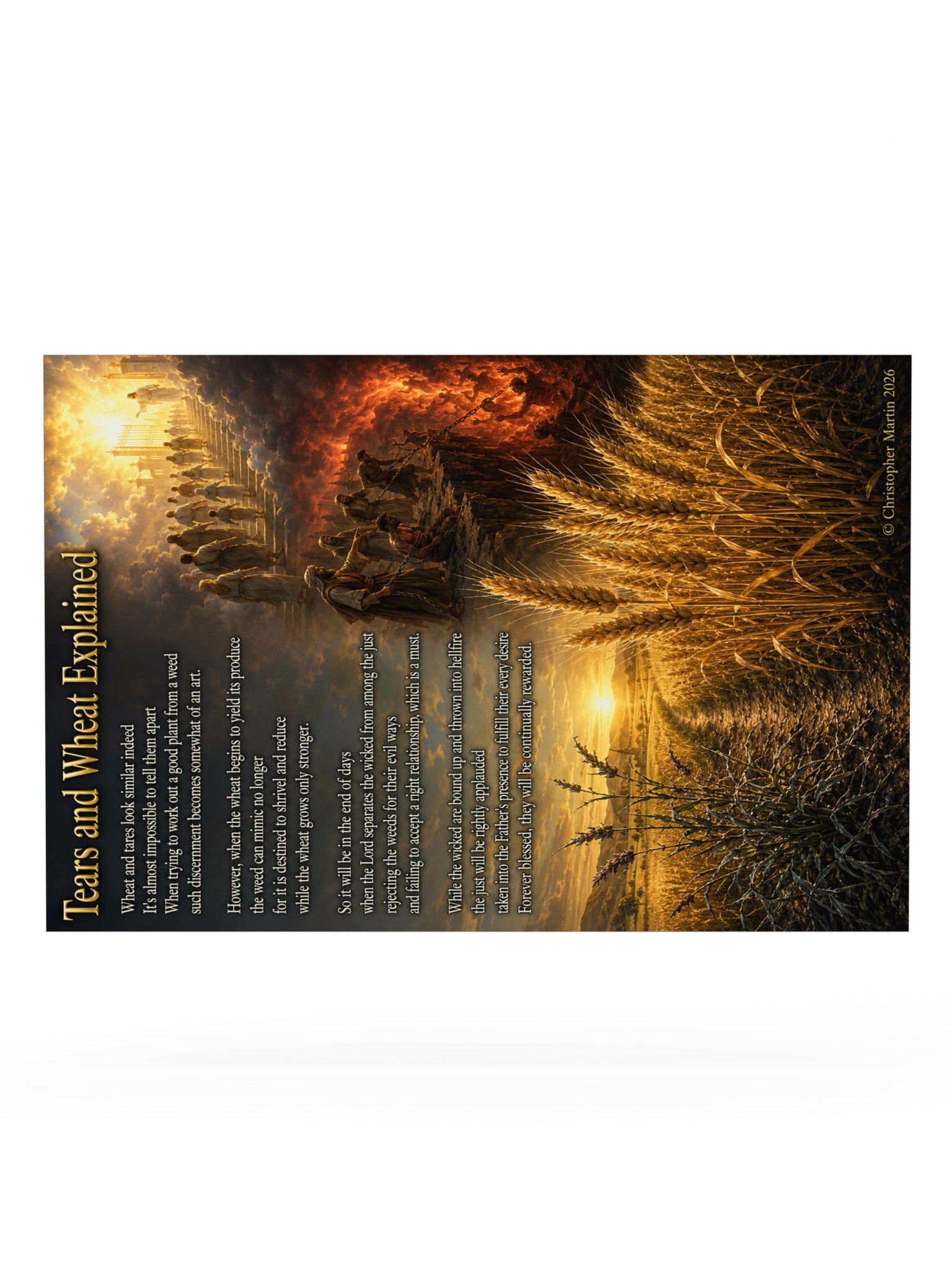Tares and wheat explained product image (6)