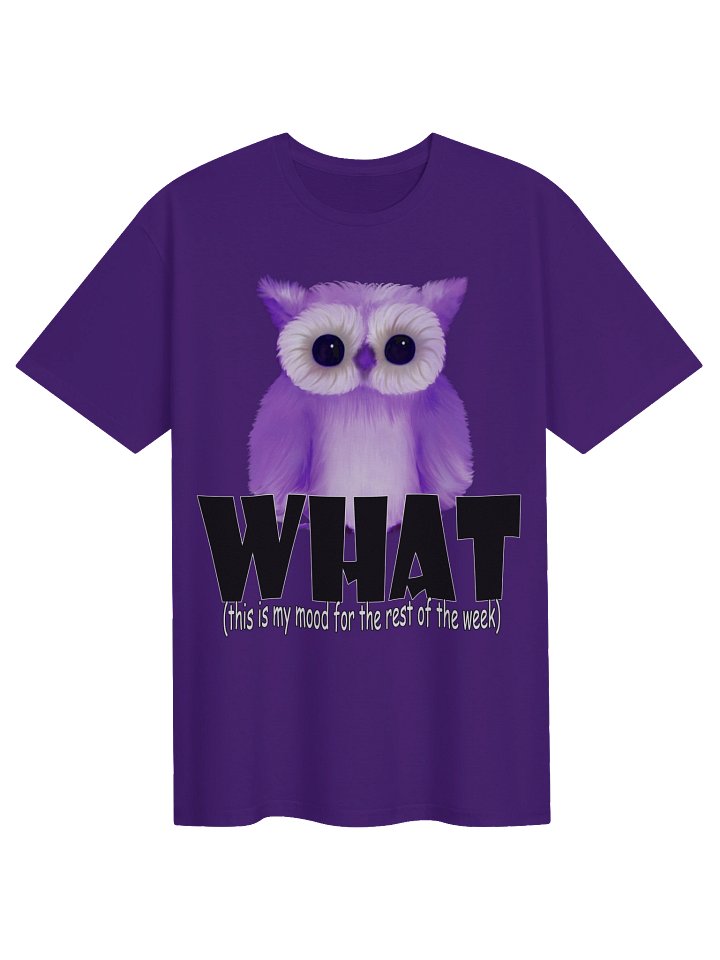 Owl "WHAT" T-Shirt. Unisex Gildan Softstyle T-Shirt product image (1)