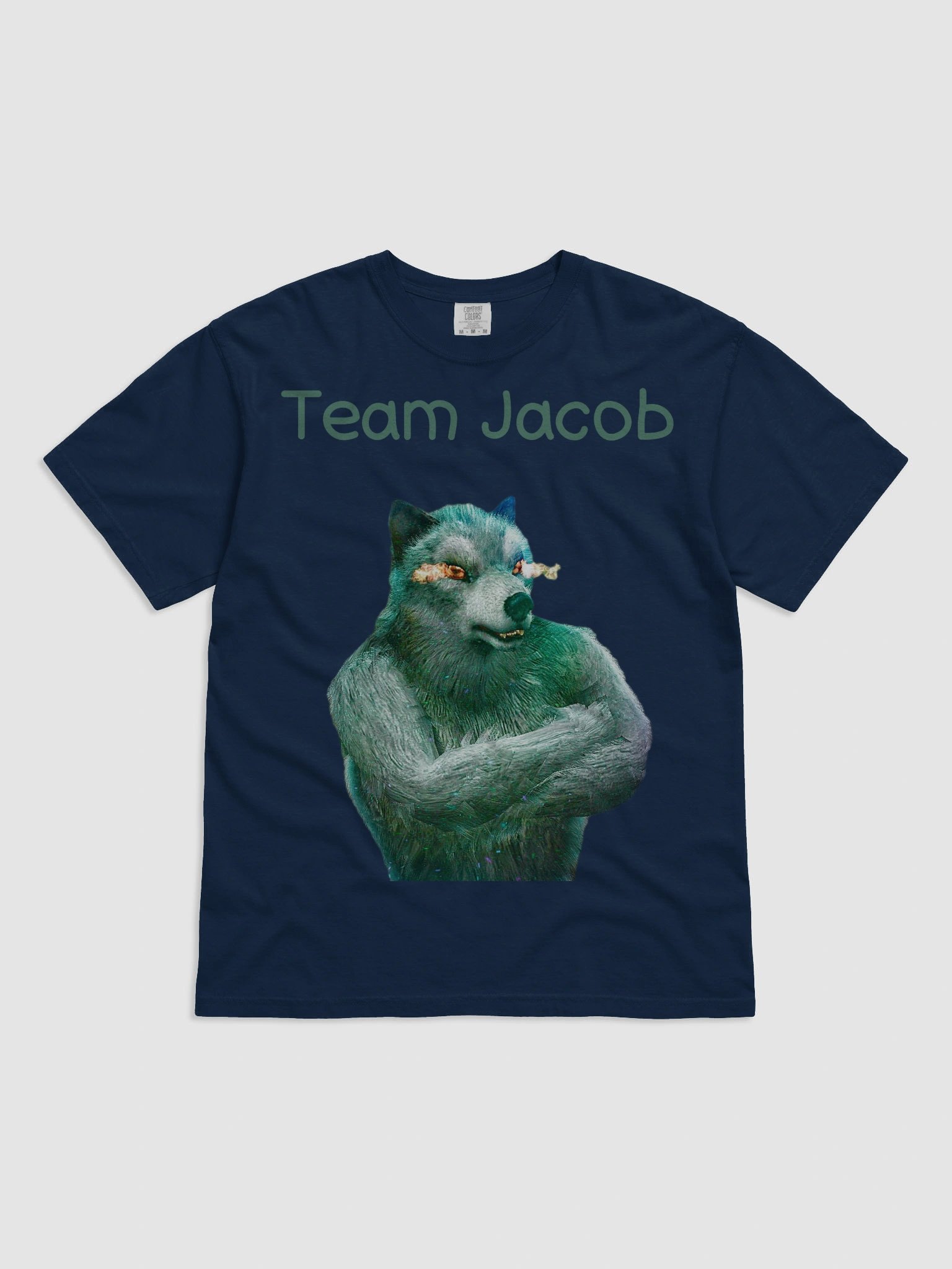 Team Jacob (WOLFSTAR) Tee product image (7)
