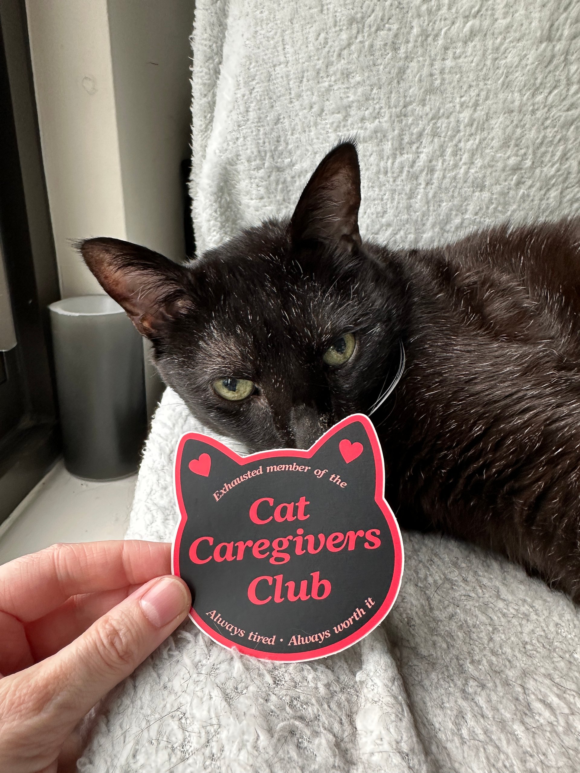 Cat Caregiver Club sticker product image (1)