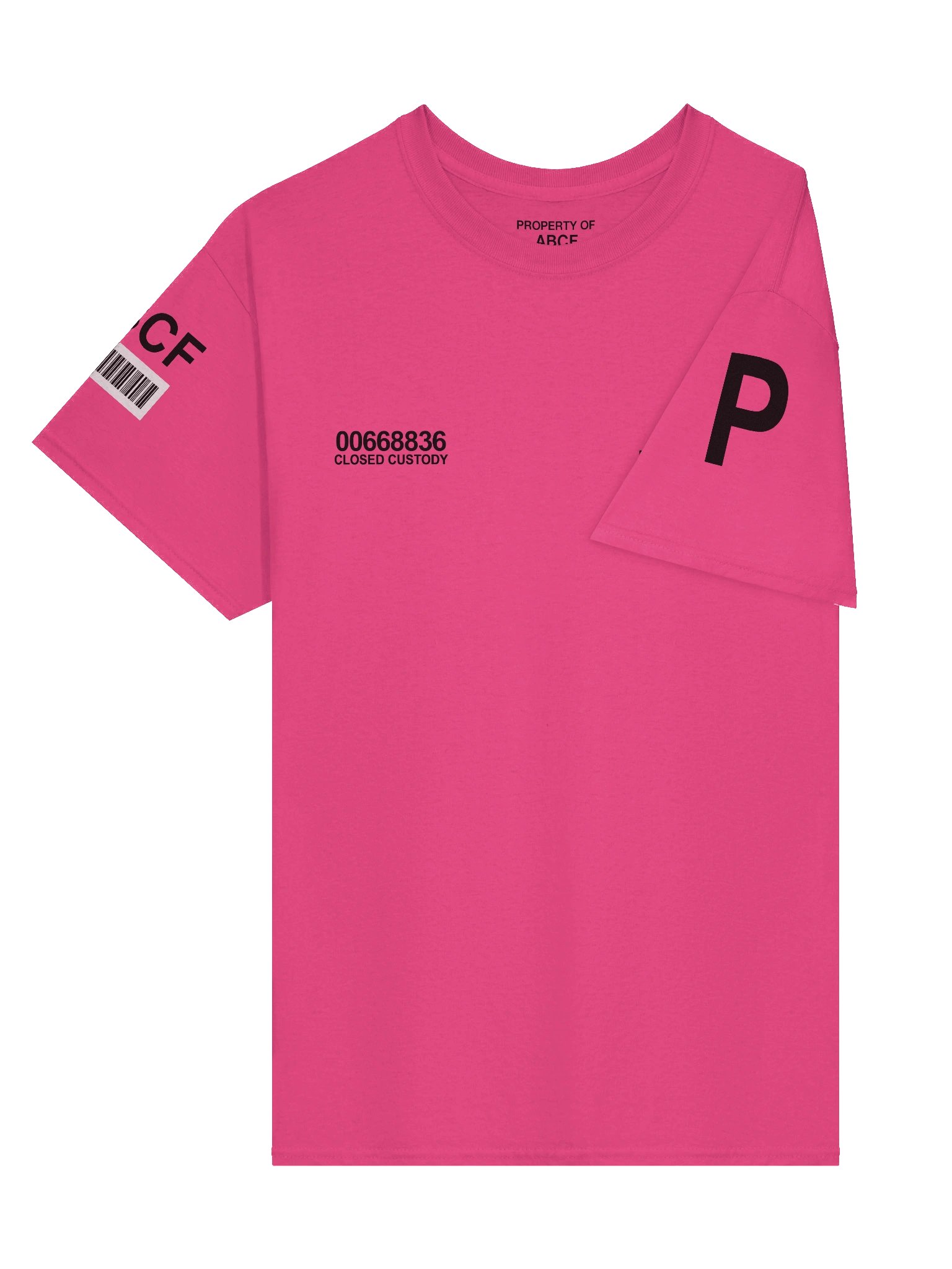 ABCF Standard Issued Maximum Security T-Shirt product image (3)