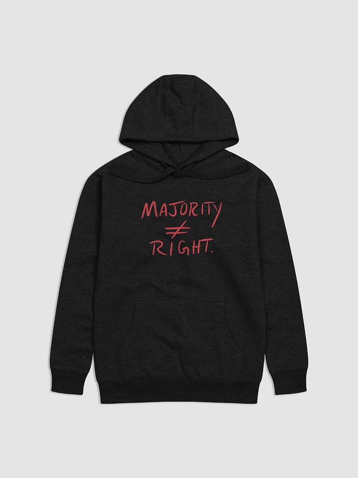 Majority ≠ Right hoodie product image (4)