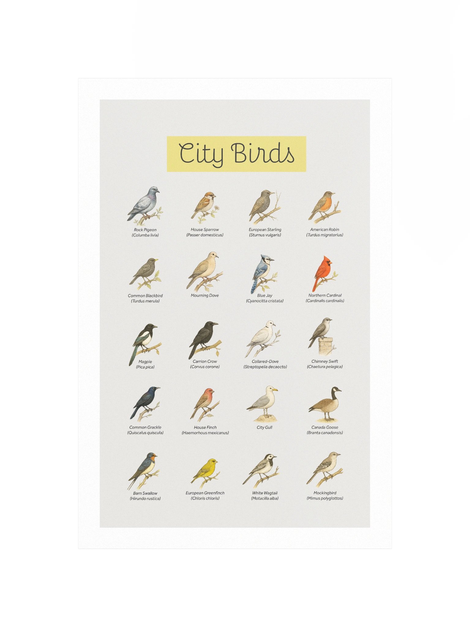 City Birds Poster product image (2)