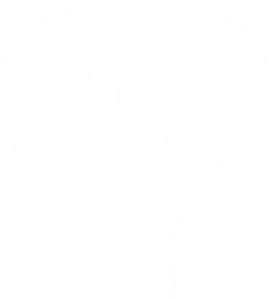 Exclusive Music Transcription Vol. II tier thumbnail