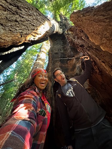 Good morning! Just hanging out with these gentle 4,000 year old giants. 

#redwood. #adventure #livinglifetothefullest #adven...