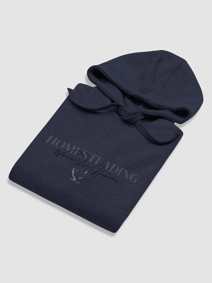 Homesteading Hoodie - Chick product image (1)