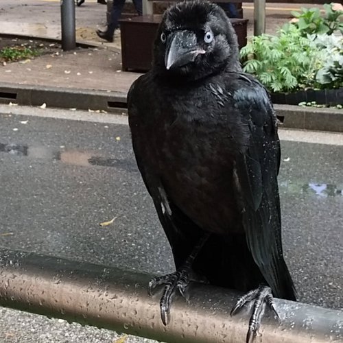 He looked worried but also listening.