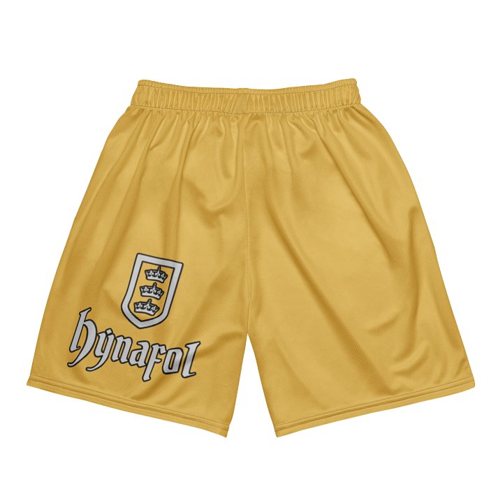 Court of Knowledge Athletic Shorts product image (2)