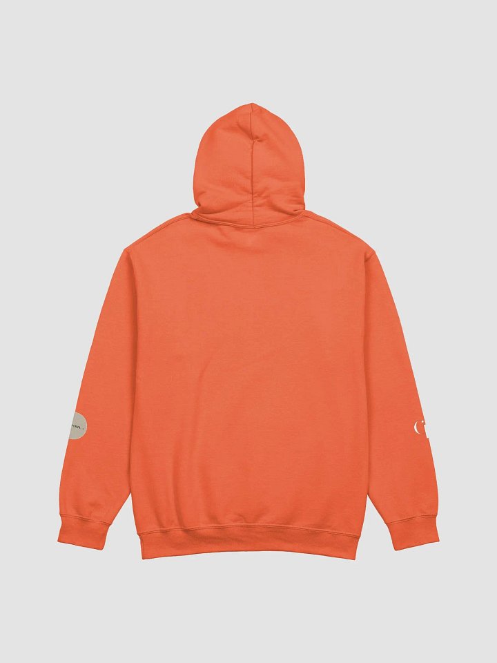 God > HOODIE - (ORANGE TEXT) product image (15)