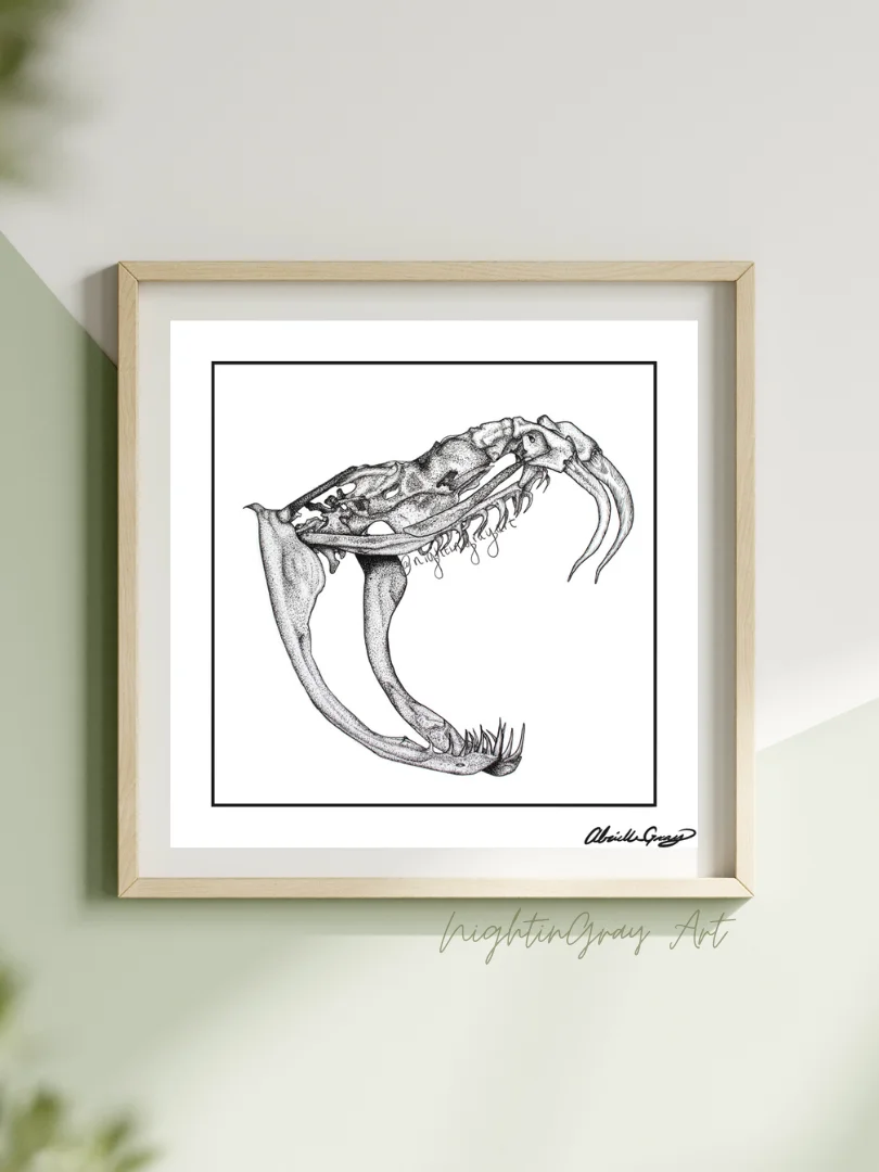 Rattlesnake Skull - Fine Art Print product image (1)