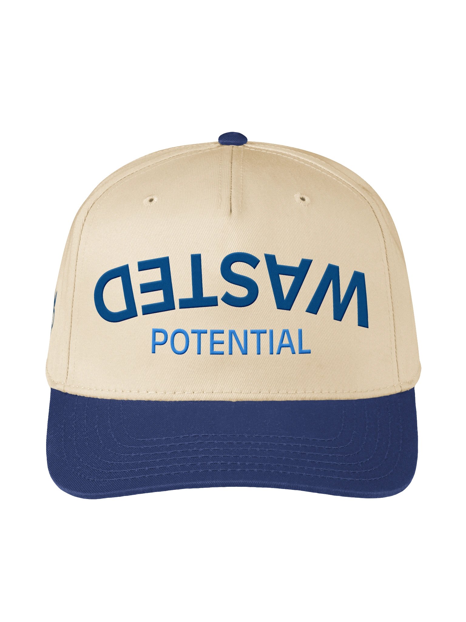 Upside Down Wasted Potential Hat product image (1)