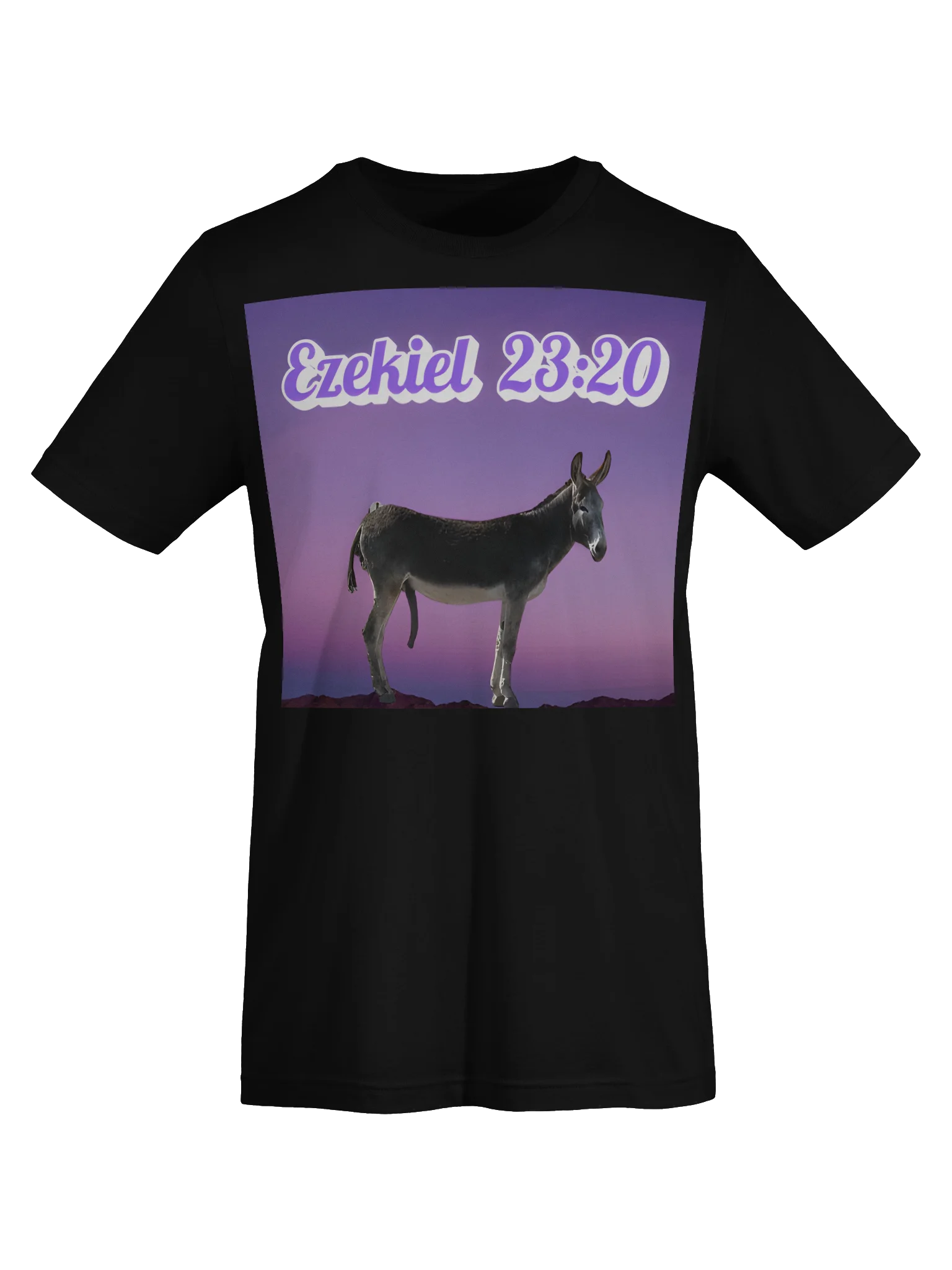 Ezekiel 23:20 Tee Shirt product image (7)