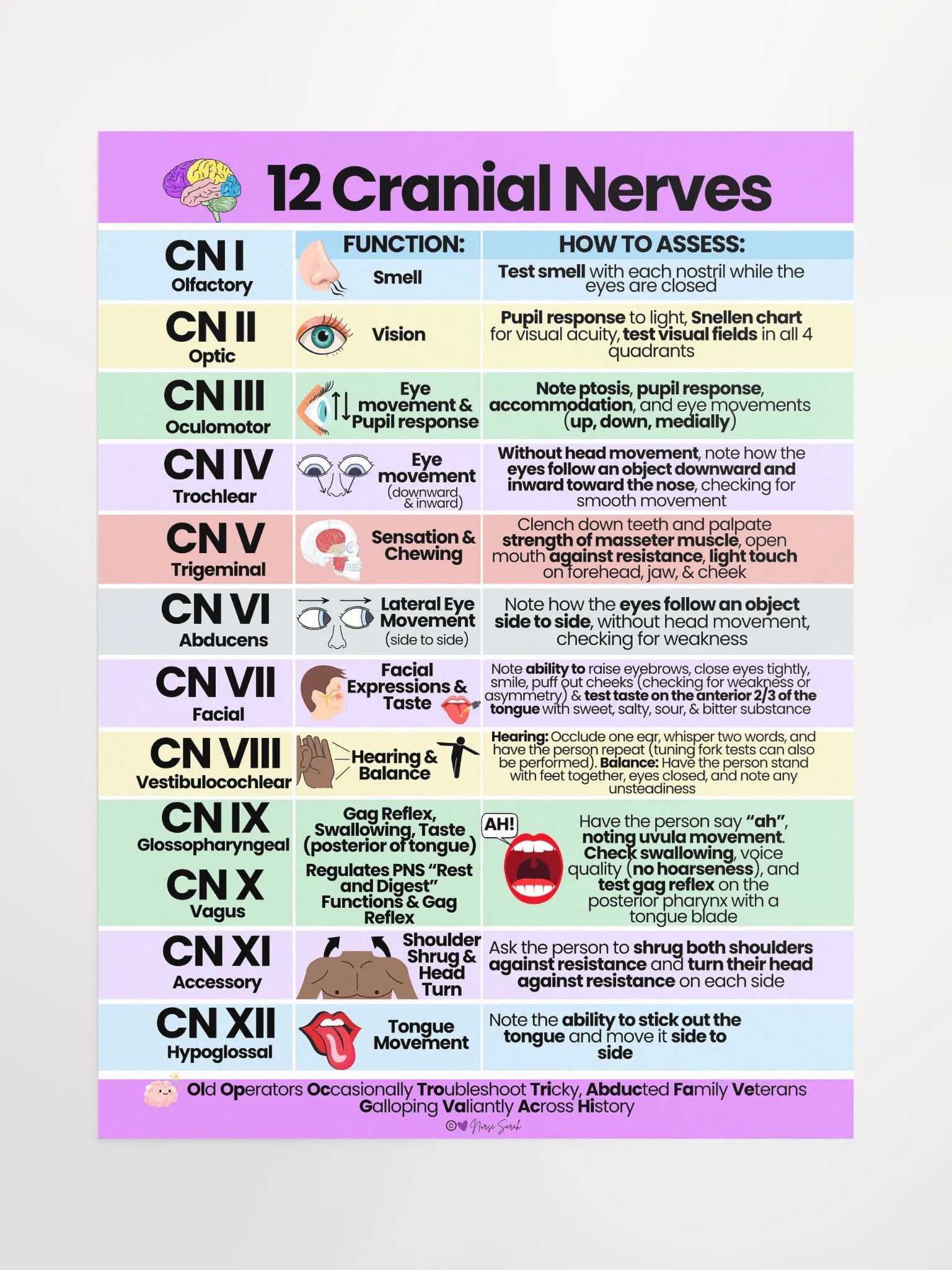 12 Cranial Nerves: Their Function and How to Assess Wall Poster product image (1)