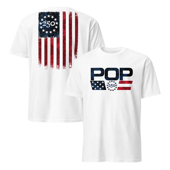 POP 250 product image (21)
