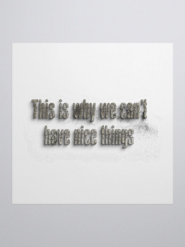 THIS IS WHY WE CAN'T HAVE NICE THINGS product image (1)