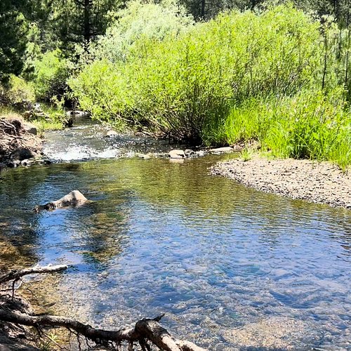 DRUMFIRE ON TOUR! \\\ Drumfire is going on Tour to Truckee, California (Lake Tahoe) as we speak! We will be documenting for y...