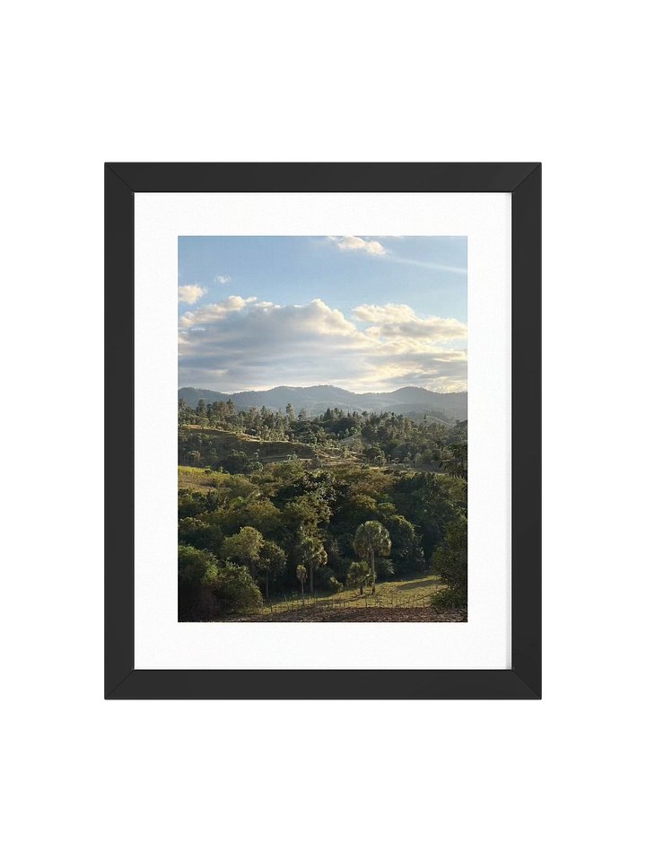 Hills and Palm Tree Framed Art Print product image (3)