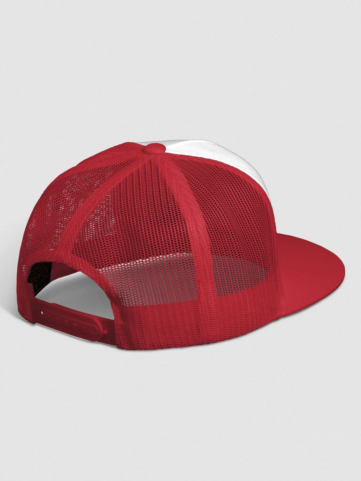 Embroidered Astro Canuck Logo Hat product image (13)