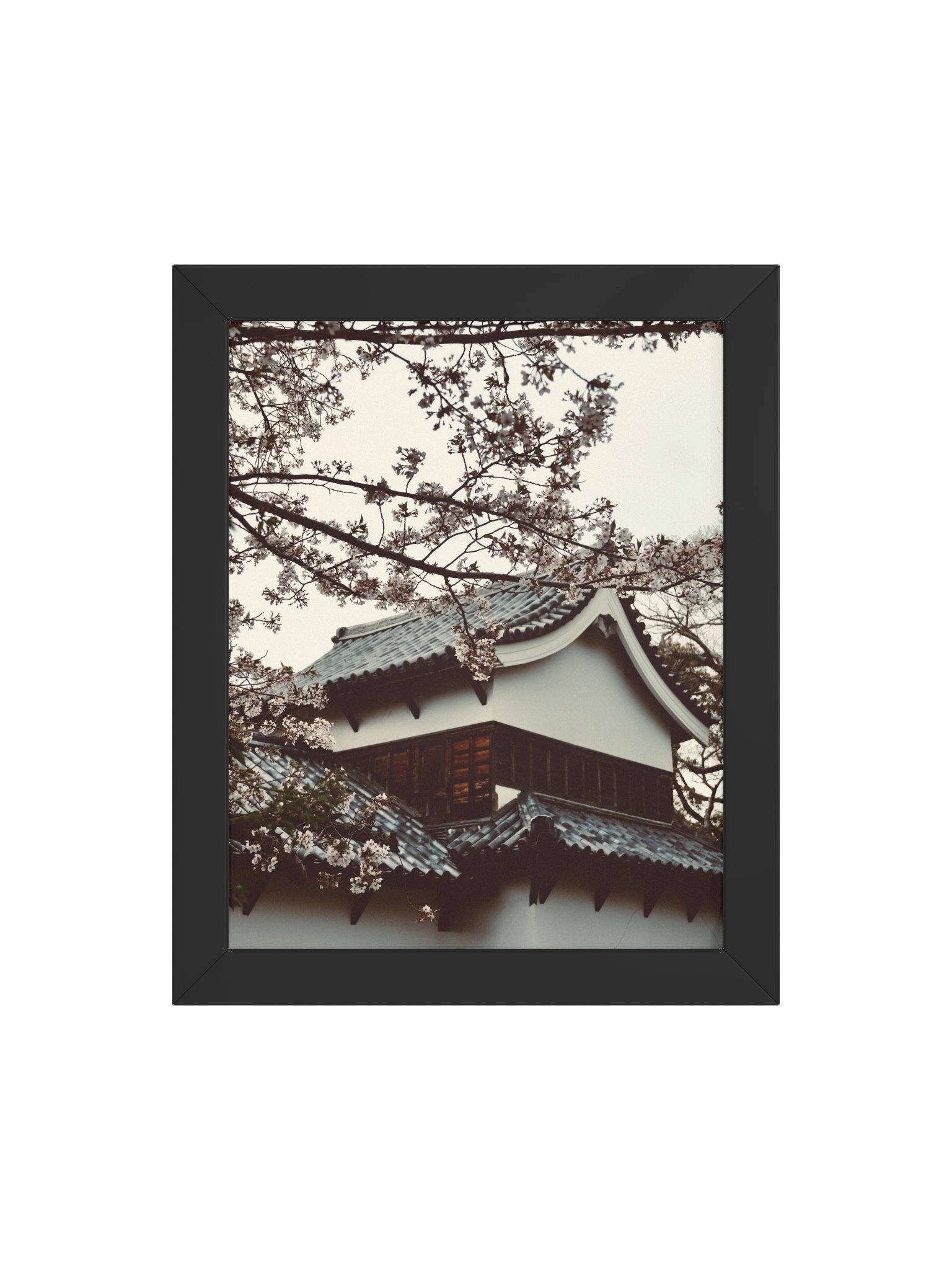 Fukuoka Sakura product image (68)