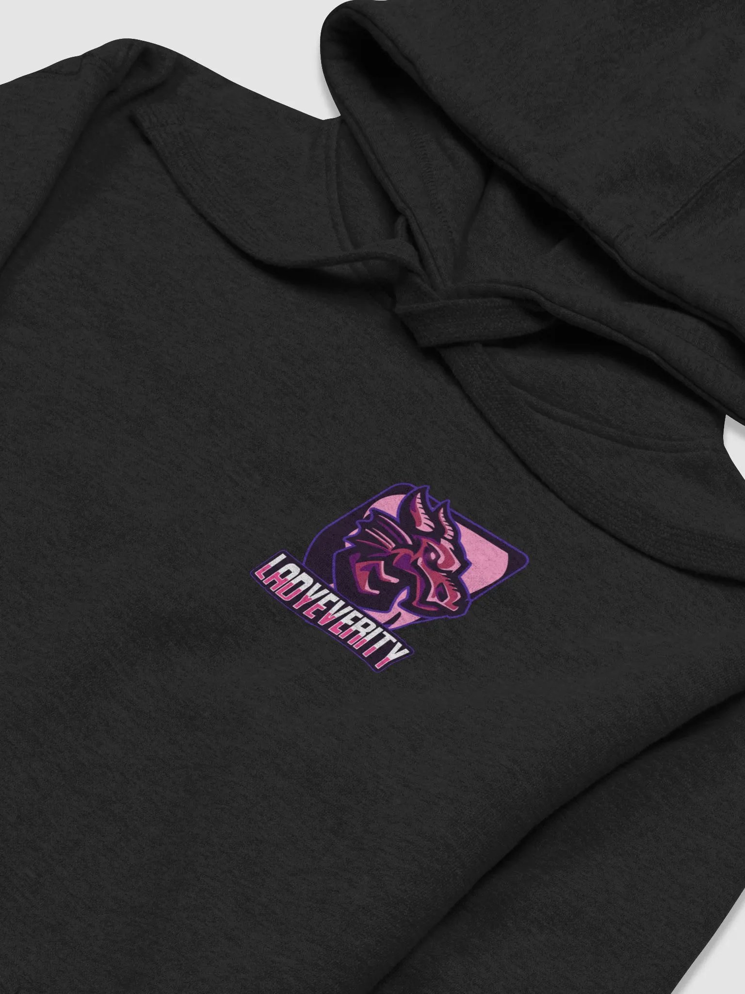 Everity Logo Hoodie product image (29)