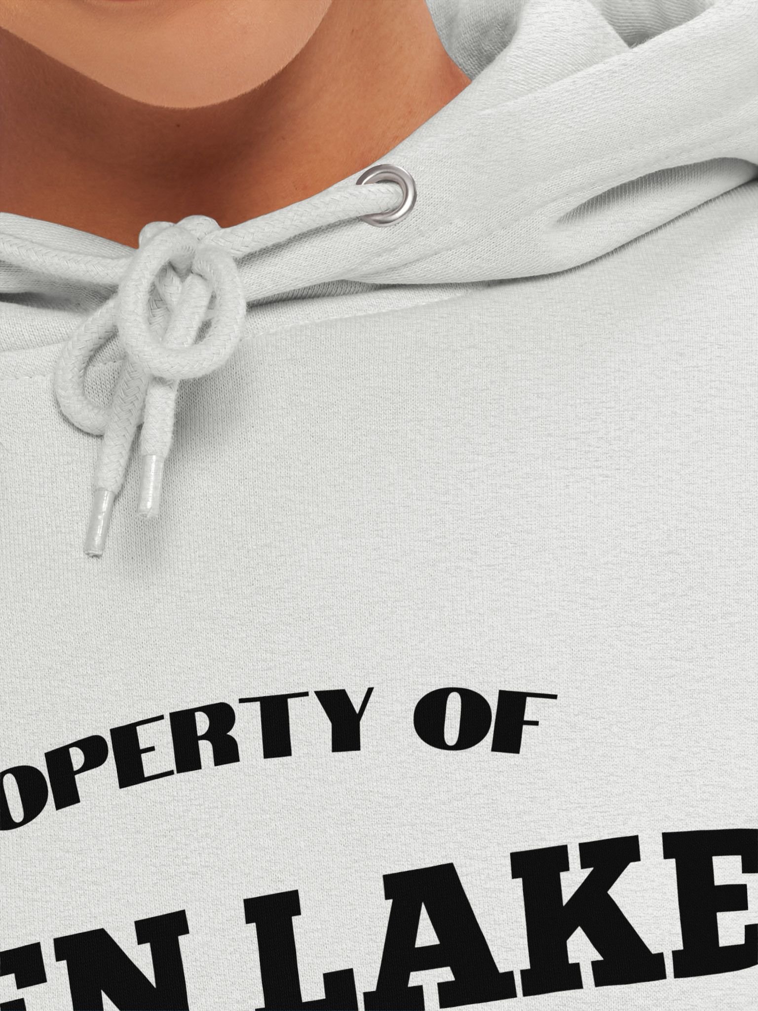 Eden Lake Parks and Rec Premium Hoodie product image (4)