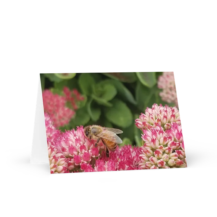 Pretty in Pink Bee Greeting Card product image (1)