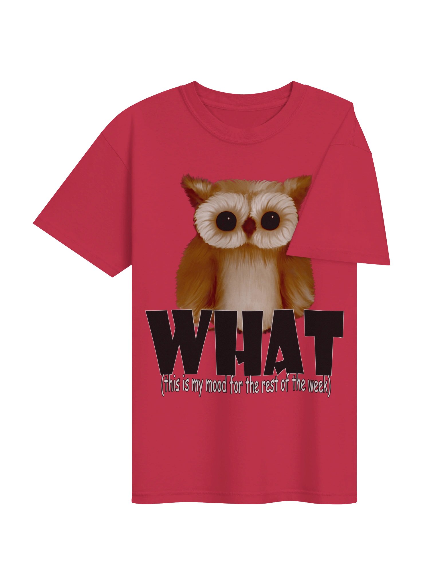 Owl "WHAT" T-Shirt. Men's Comfort Colors Garment-Dyed Heavyweight T-Shirt product image (3)