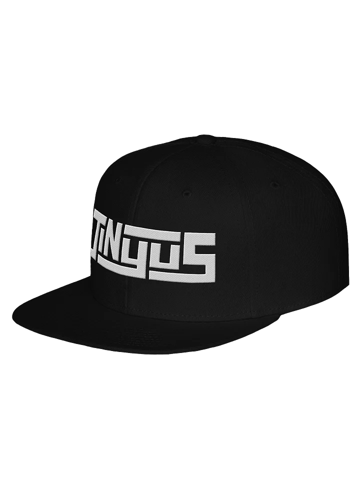 Jinyus Snapback product image (2)