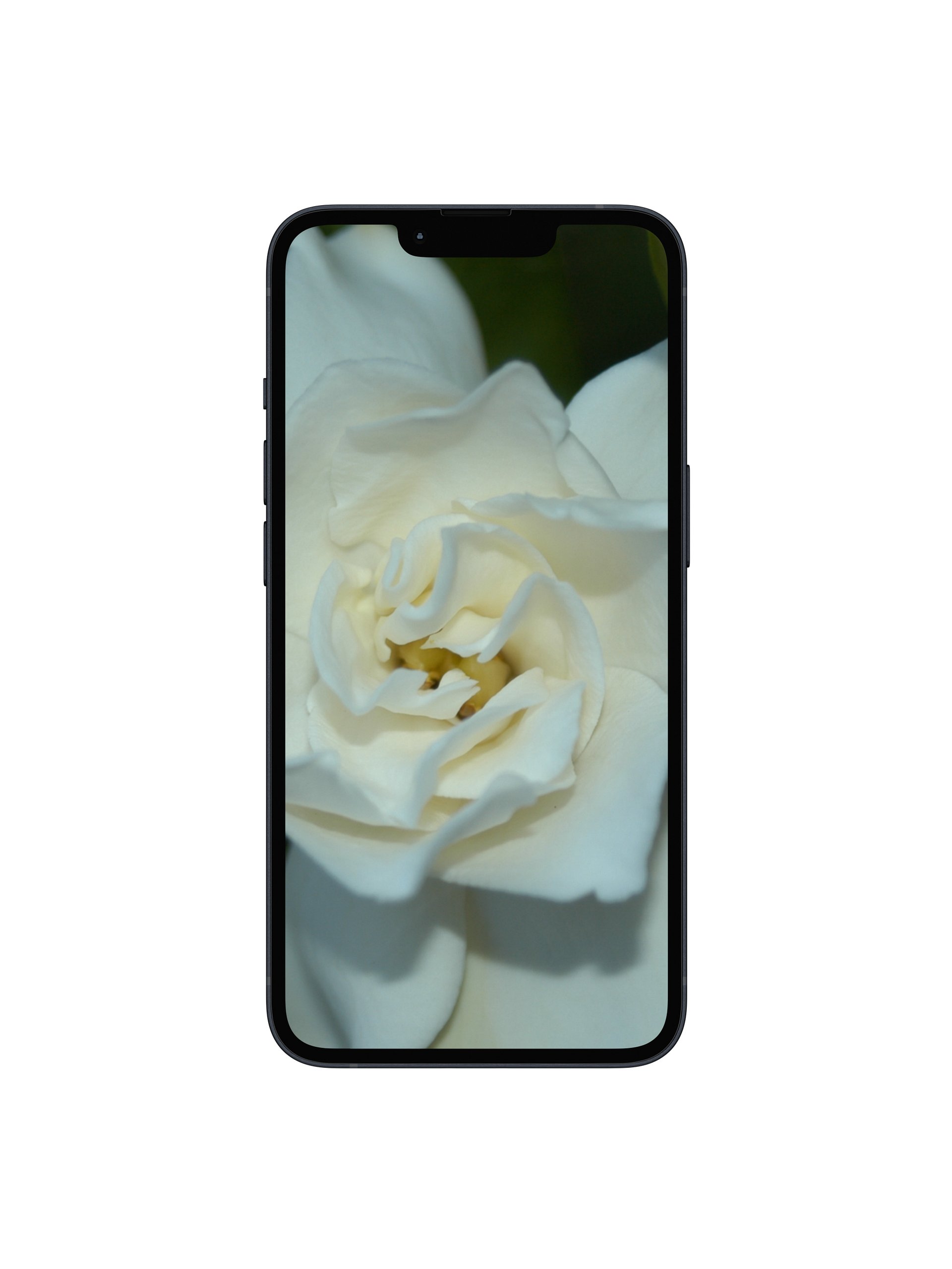 Gardenia Digital Wallpaper Set product image (1)