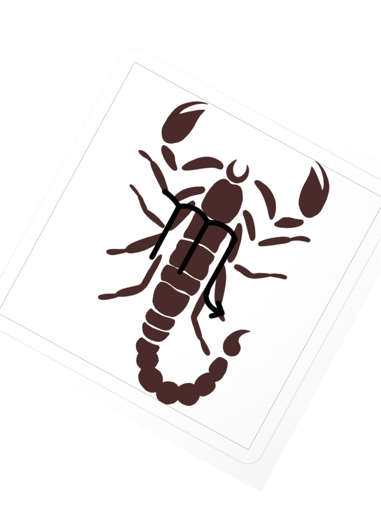 Scorpio Zodiac Sticker — Dark Brown Guardian Design product image (2)