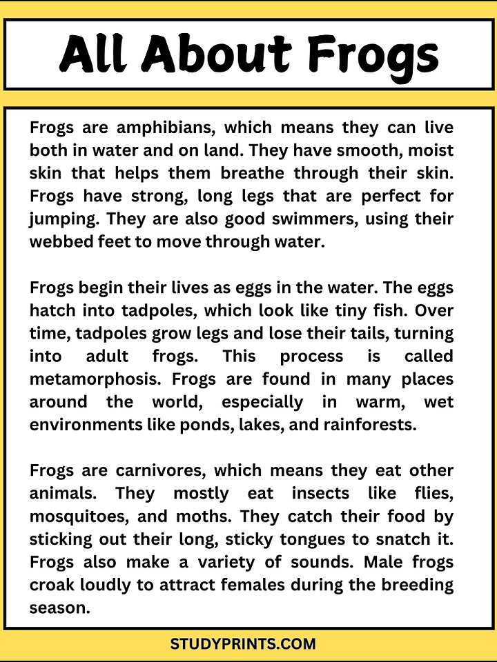 all about frogs reading comprehension worksheets product image (2)