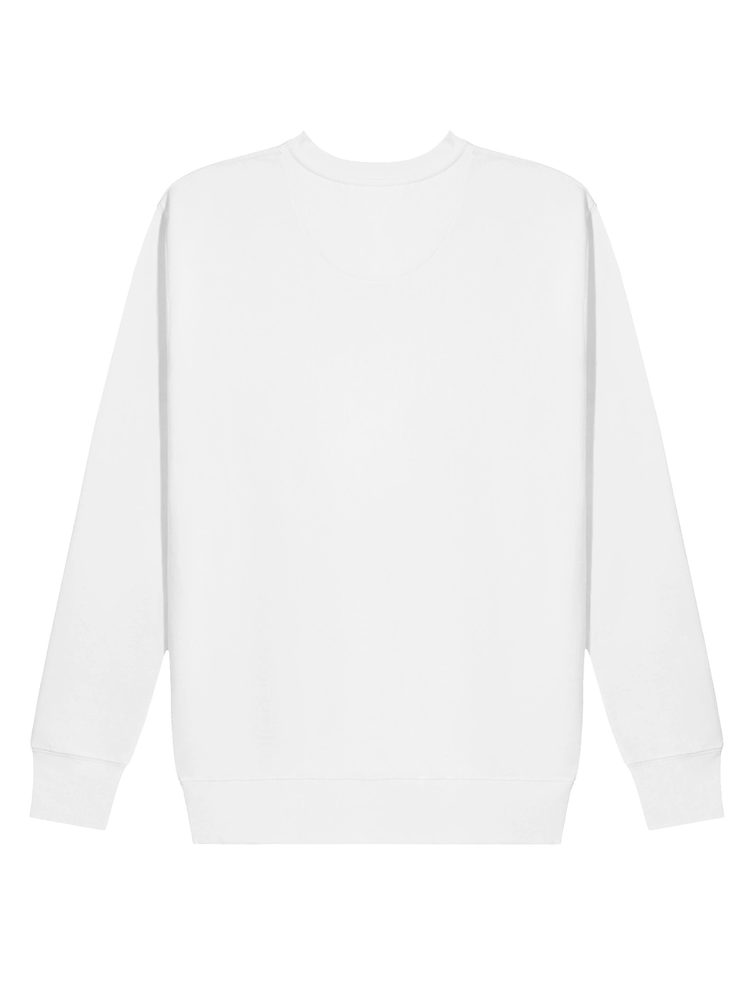 Home of The Lions Sweatshirt - Cotton Heritage product image (5)