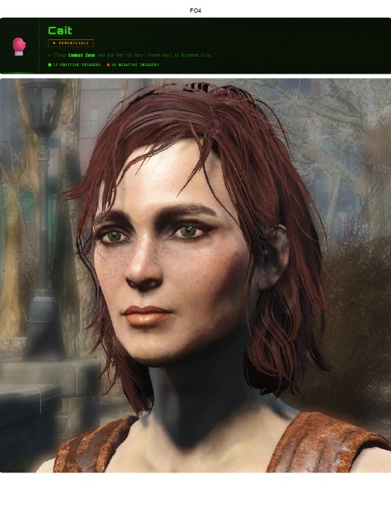 Fallout 4 Companion Affinity Database product image (2)