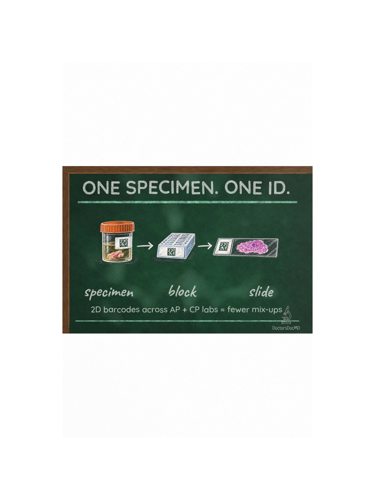 DoctorsDocMD - One Specimen. One ID. Poster product image (4)