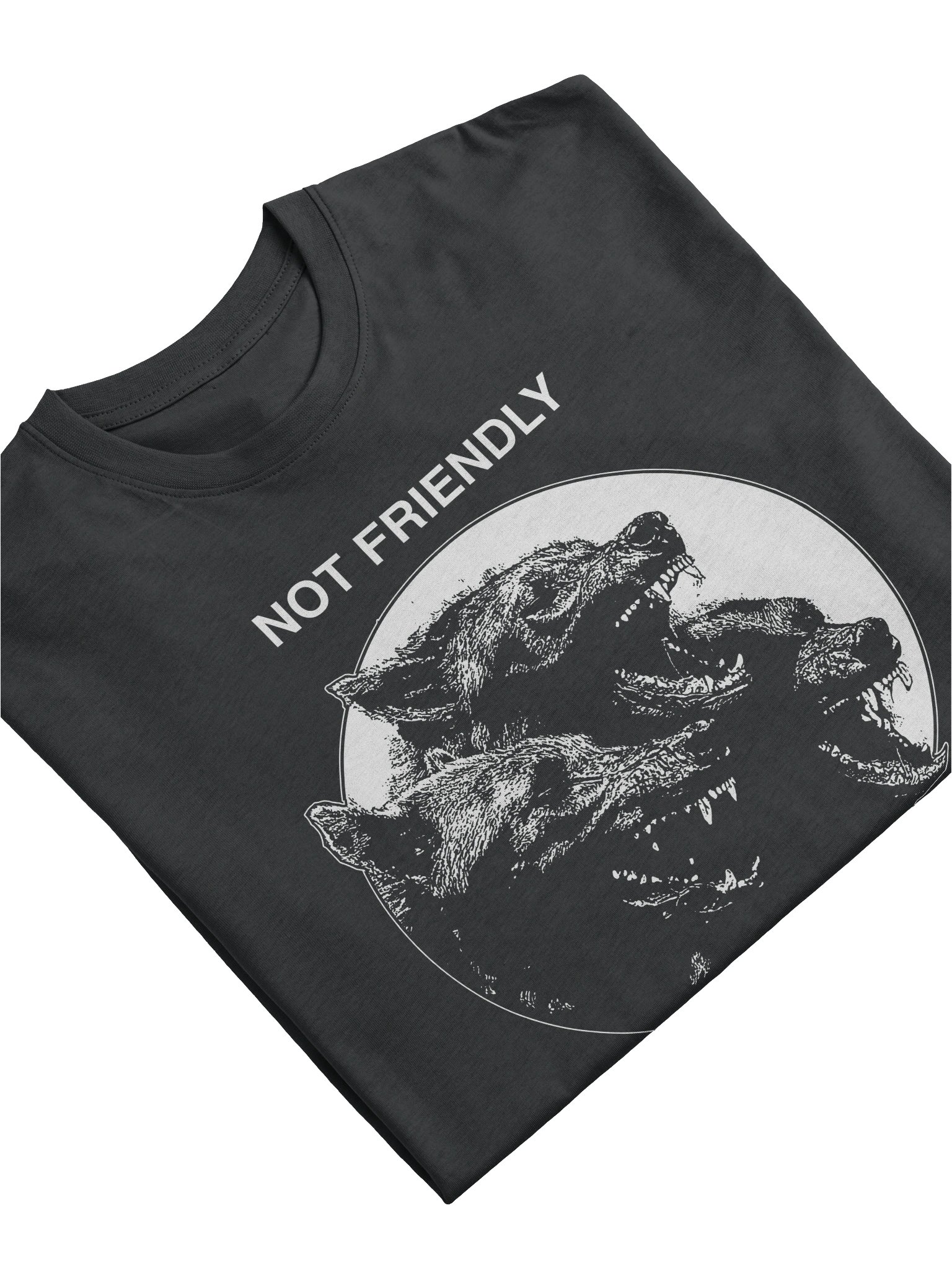 NOT FRIENDLY product image (11)