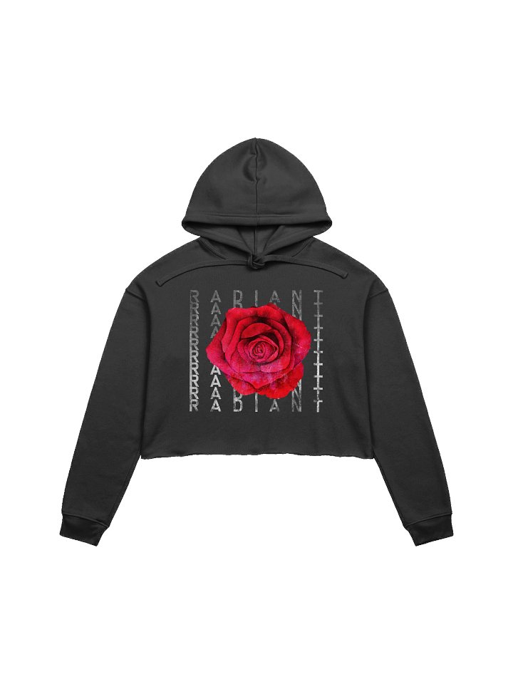 Radiant Grunge Cropped Hoodie product image (1)