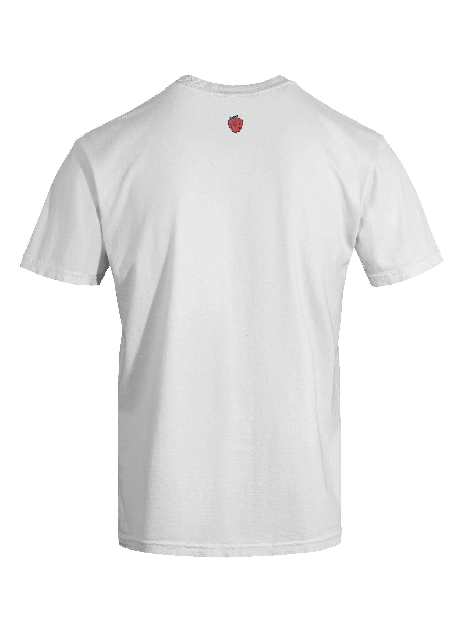 interpretor. product image (9)
