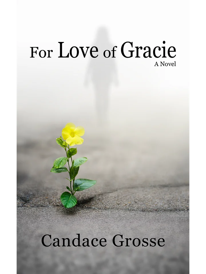 For Love of Gracie: A Novel product image (2)