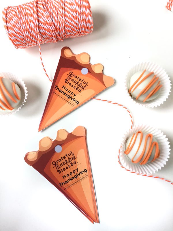 Grateful Thankful Blessed Thanksgiving Pumpkin Pie Gift Tag | Printable PDF Download product image (1)