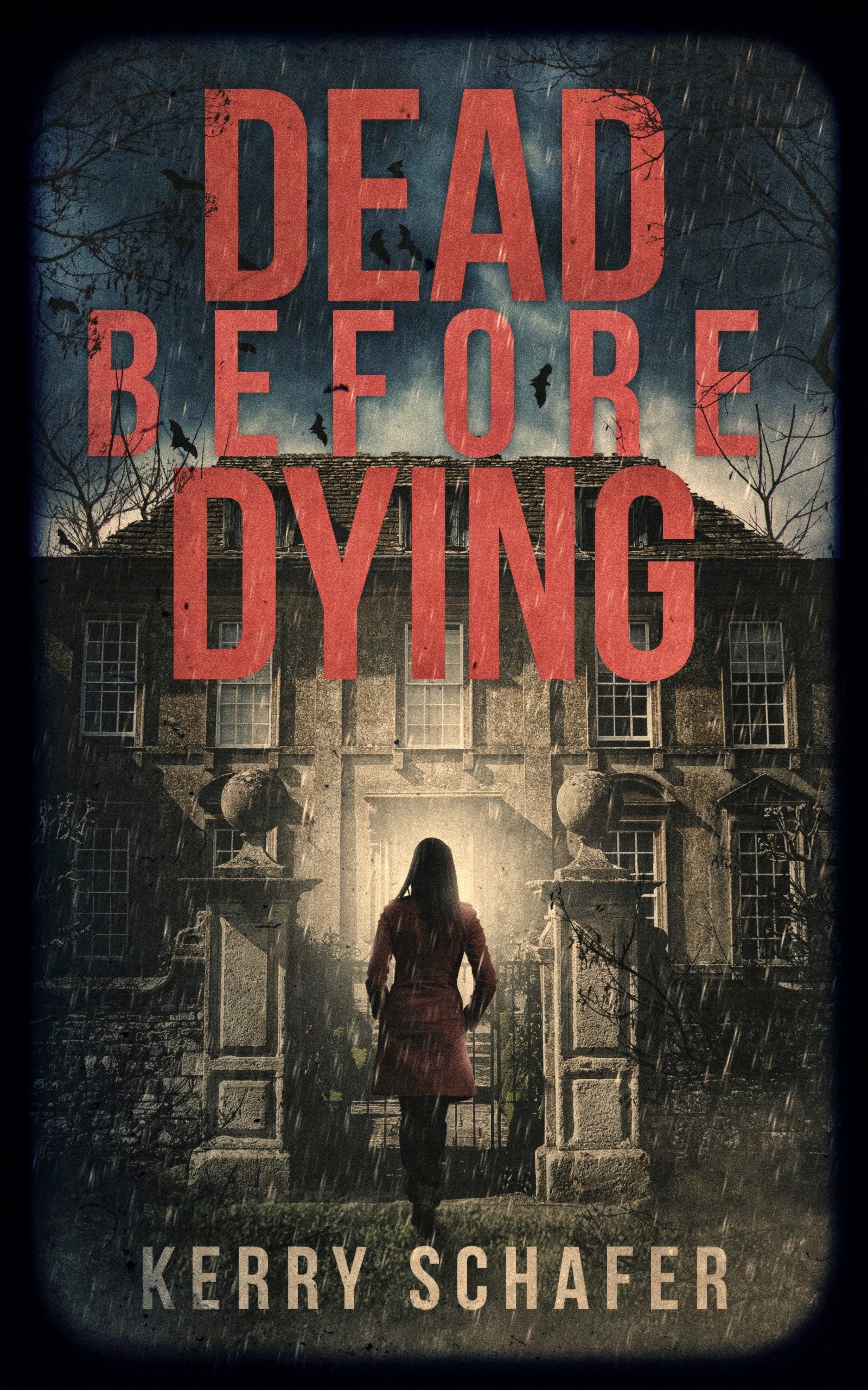 Dead Before Dying: A Shadow Valley Manor Mystery product image (1)