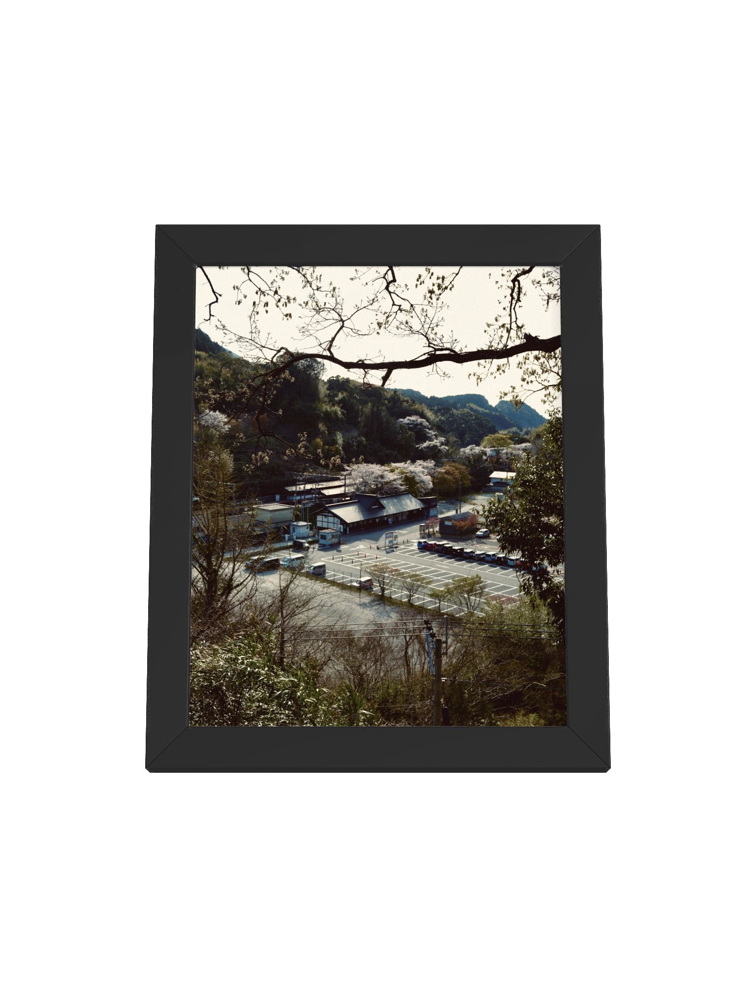 Sasaguri Fukuoka product image (3)